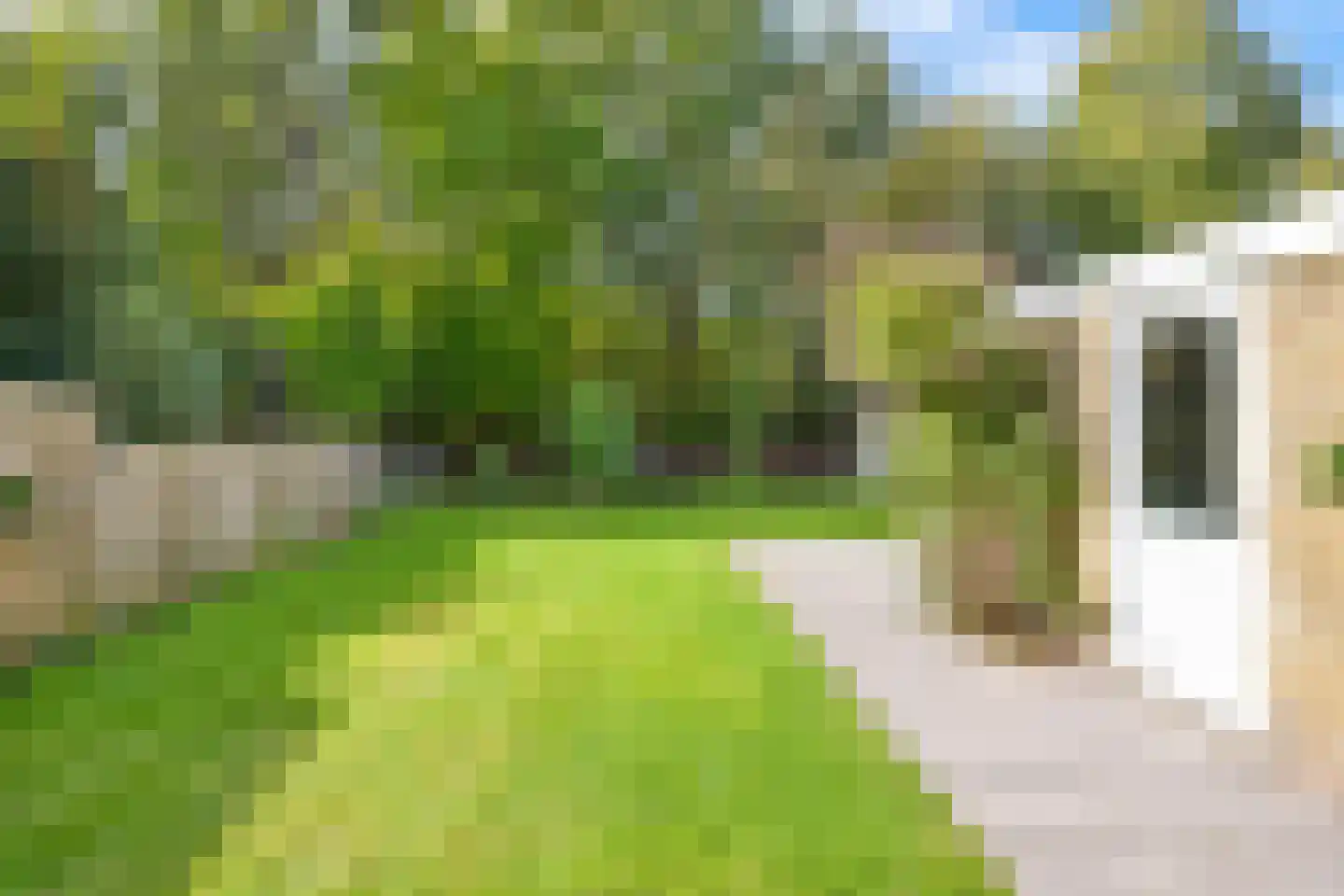 Gaelekamp 99 Hurdegaryp thumbnail 5
