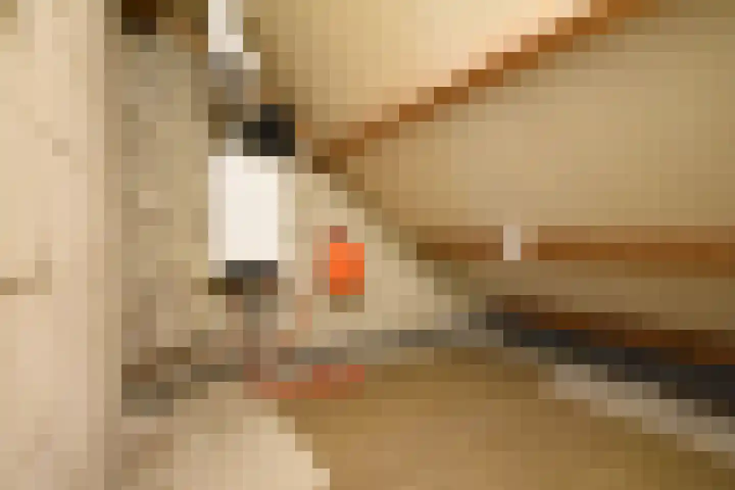 Gaelekamp 99 Hurdegaryp thumbnail 61