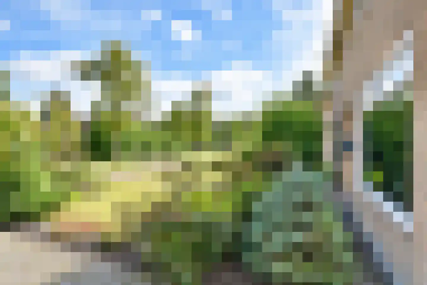 Gaelekamp 99 Hurdegaryp thumbnail 9