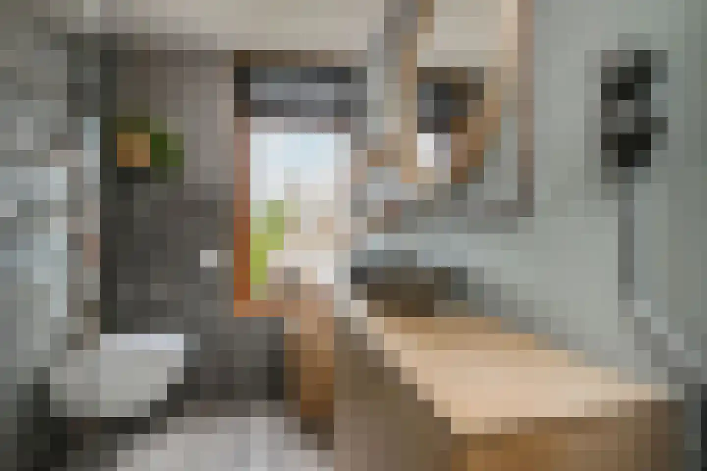 Gaelstraat 2 Wateringen thumbnail 29