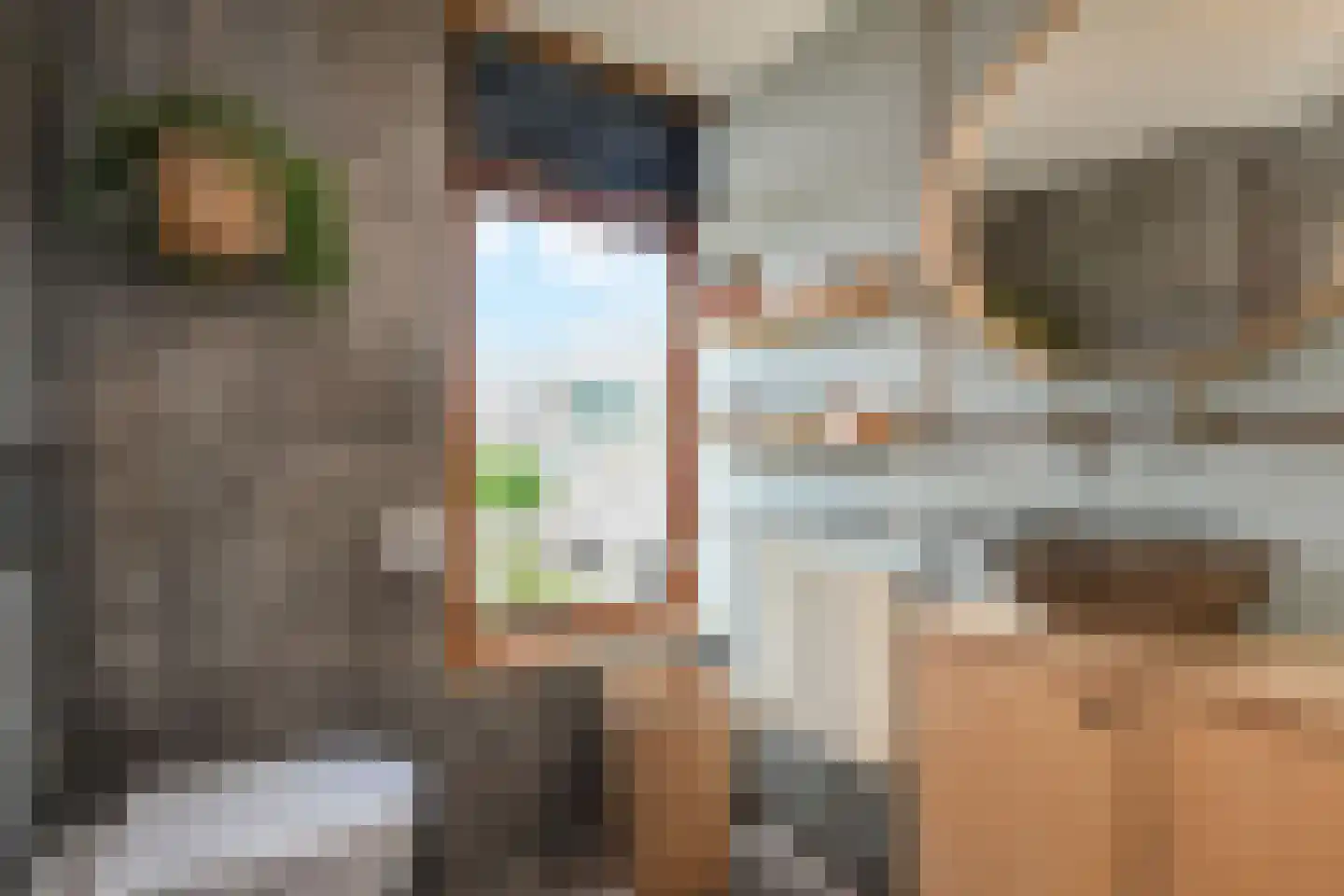 Gaelstraat 2 Wateringen thumbnail 31