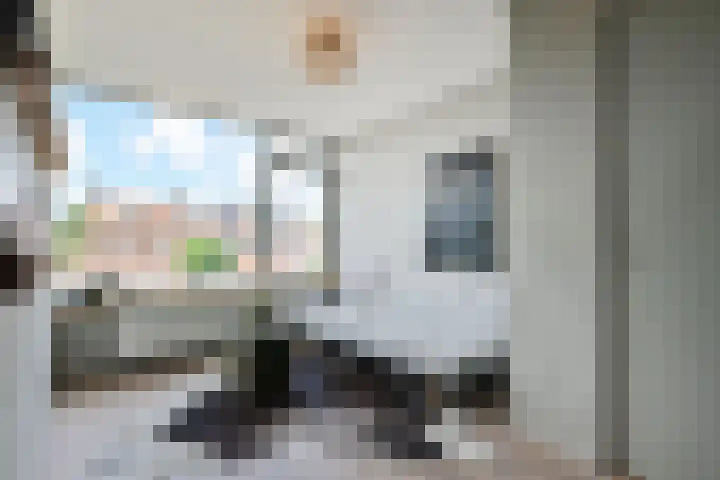 Gaelstraat 2 Wateringen thumbnail 36