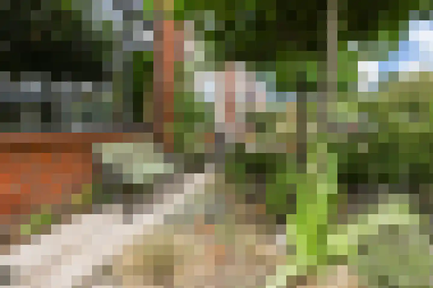 Gaelstraat 2 Wateringen thumbnail 9
