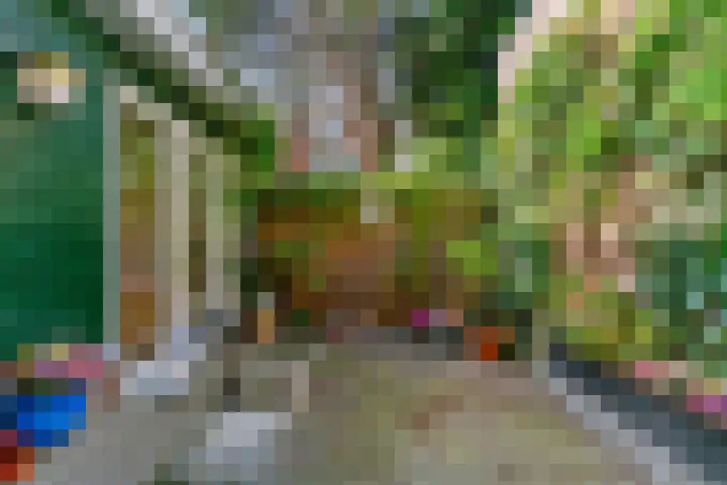 Gaelstraat 28 Haarlem thumbnail 18