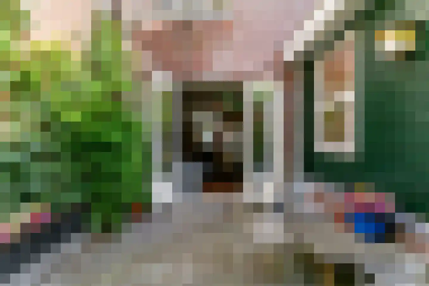 Gaelstraat 28 Haarlem thumbnail 22