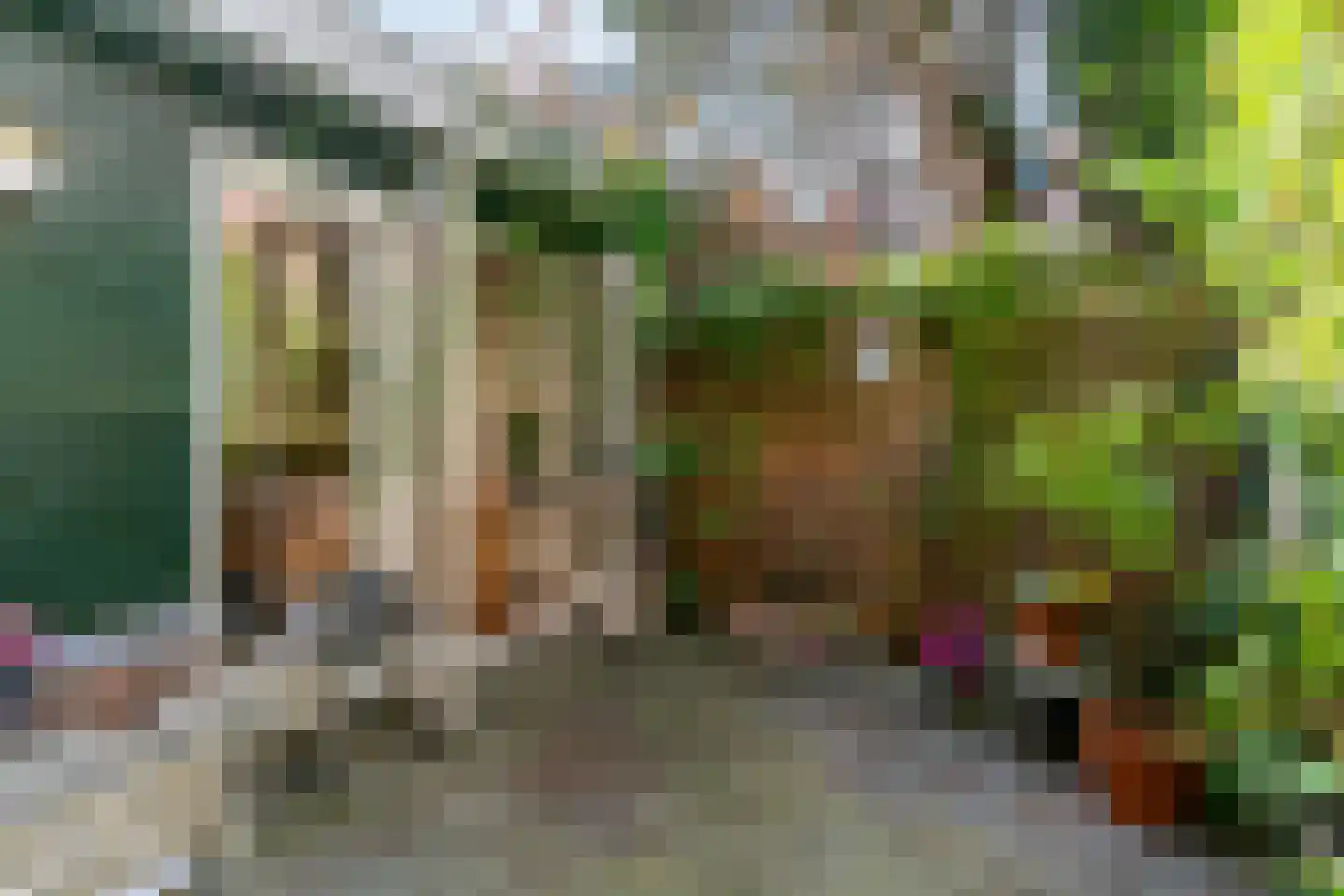 Gaelstraat 28 Haarlem thumbnail 27