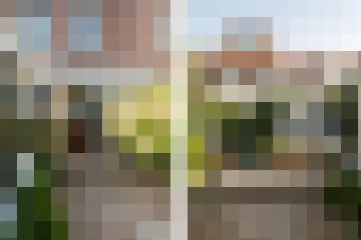 Gaelstraat 37 Haarlem thumbnail 18
