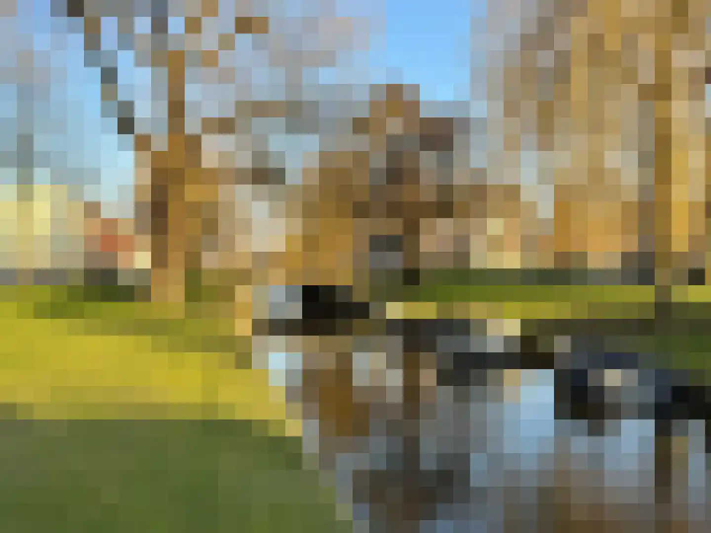 Gaelstraat 66 Haarlem thumbnail 6