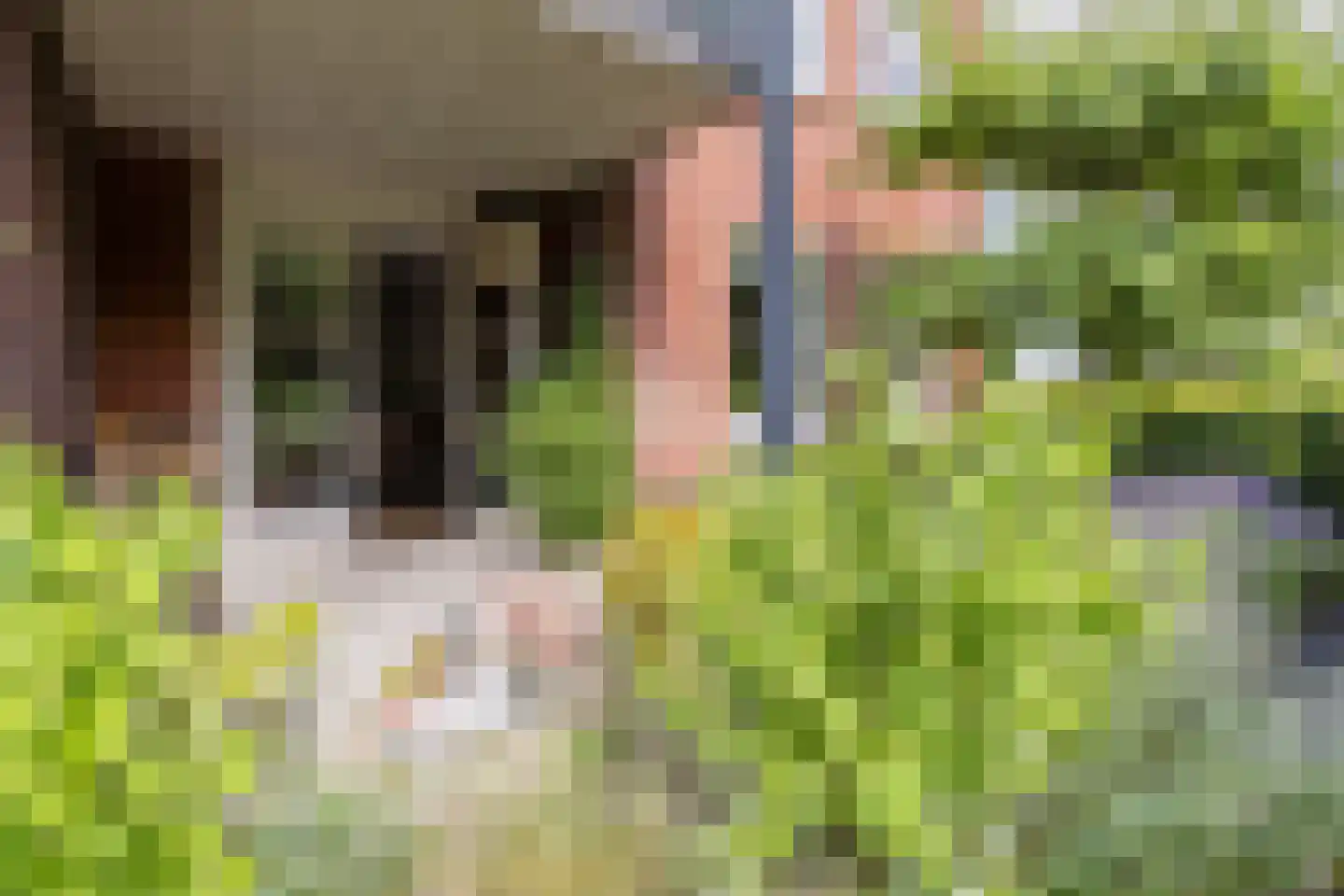 Gaesbeekerhof 107 Soest thumbnail 16