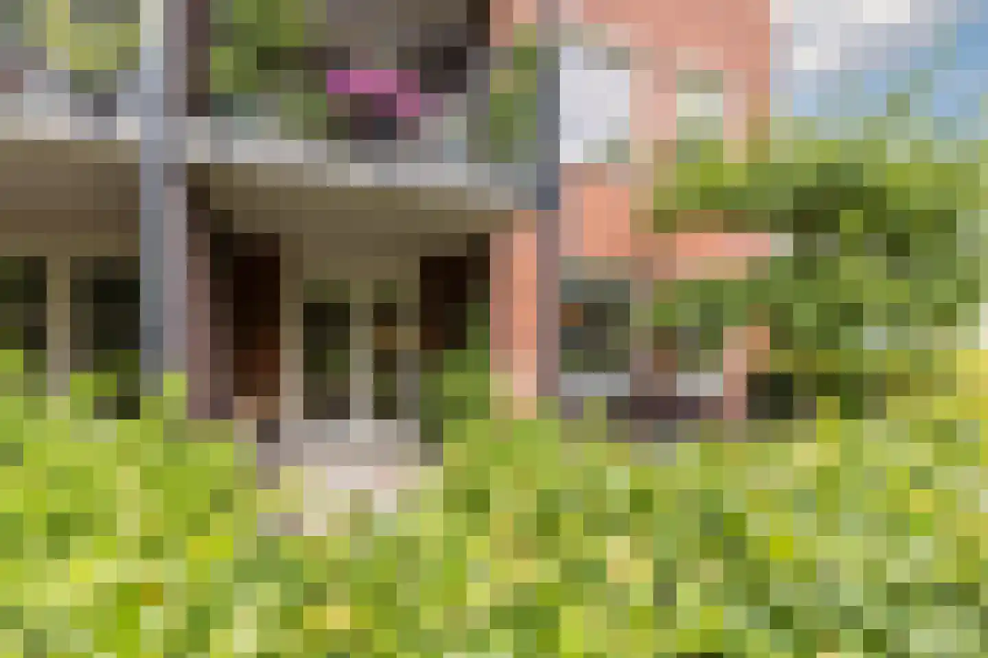 Gaesbeekerhof 107 Soest thumbnail 18