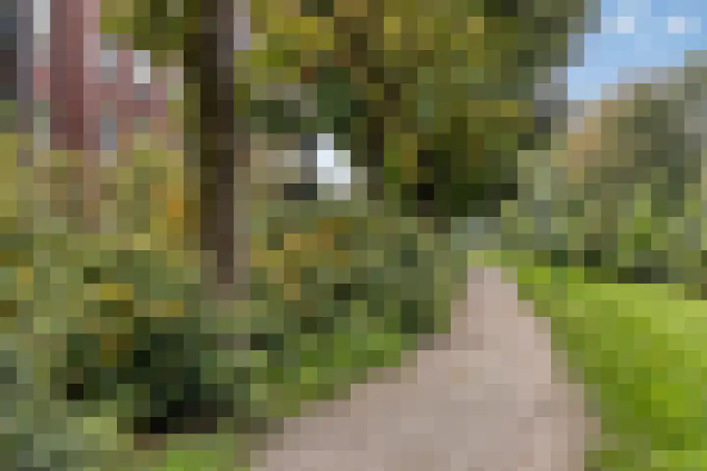 Gaesbeekerhof 11 Soest thumbnail 13