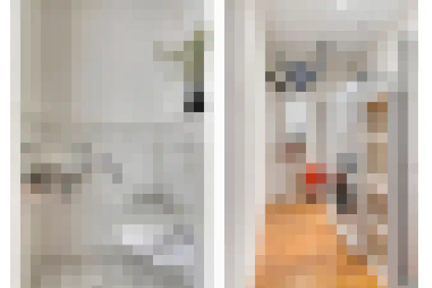 Gaesbeekerhof 11 Soest thumbnail 20