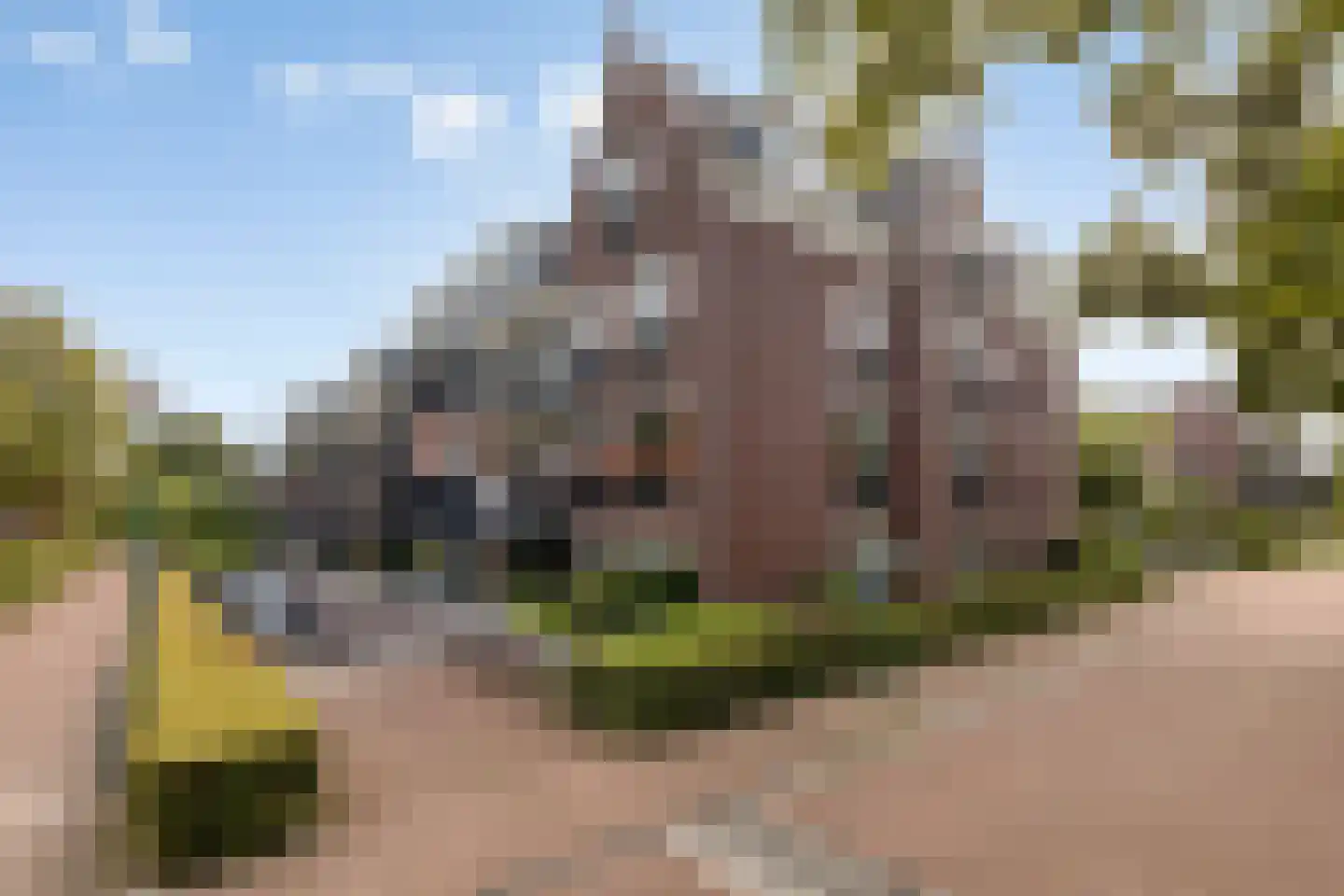 Gaesbeekerhof 11 Soest thumbnail 32