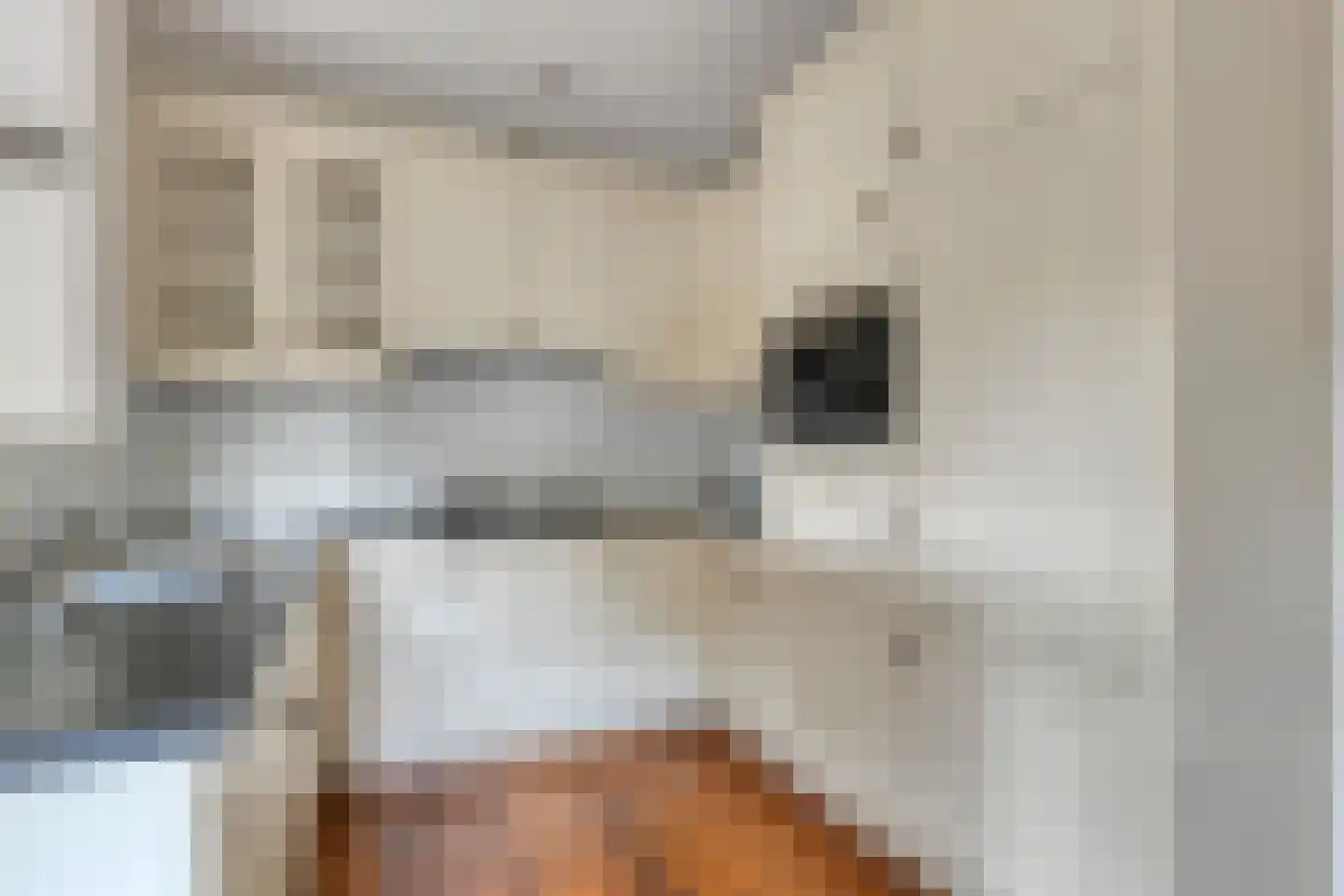Gaesbeekerhof 11 Soest thumbnail 7