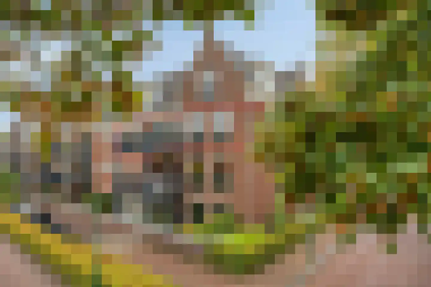 Gaesbeekerhof 19 Soest