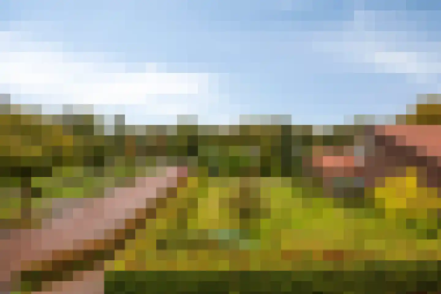 Gaesbeekerhof 19 Soest thumbnail 13