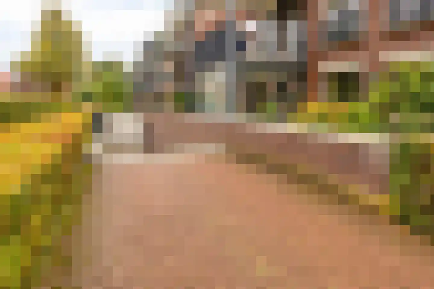 Gaesbeekerhof 19 Soest thumbnail 31