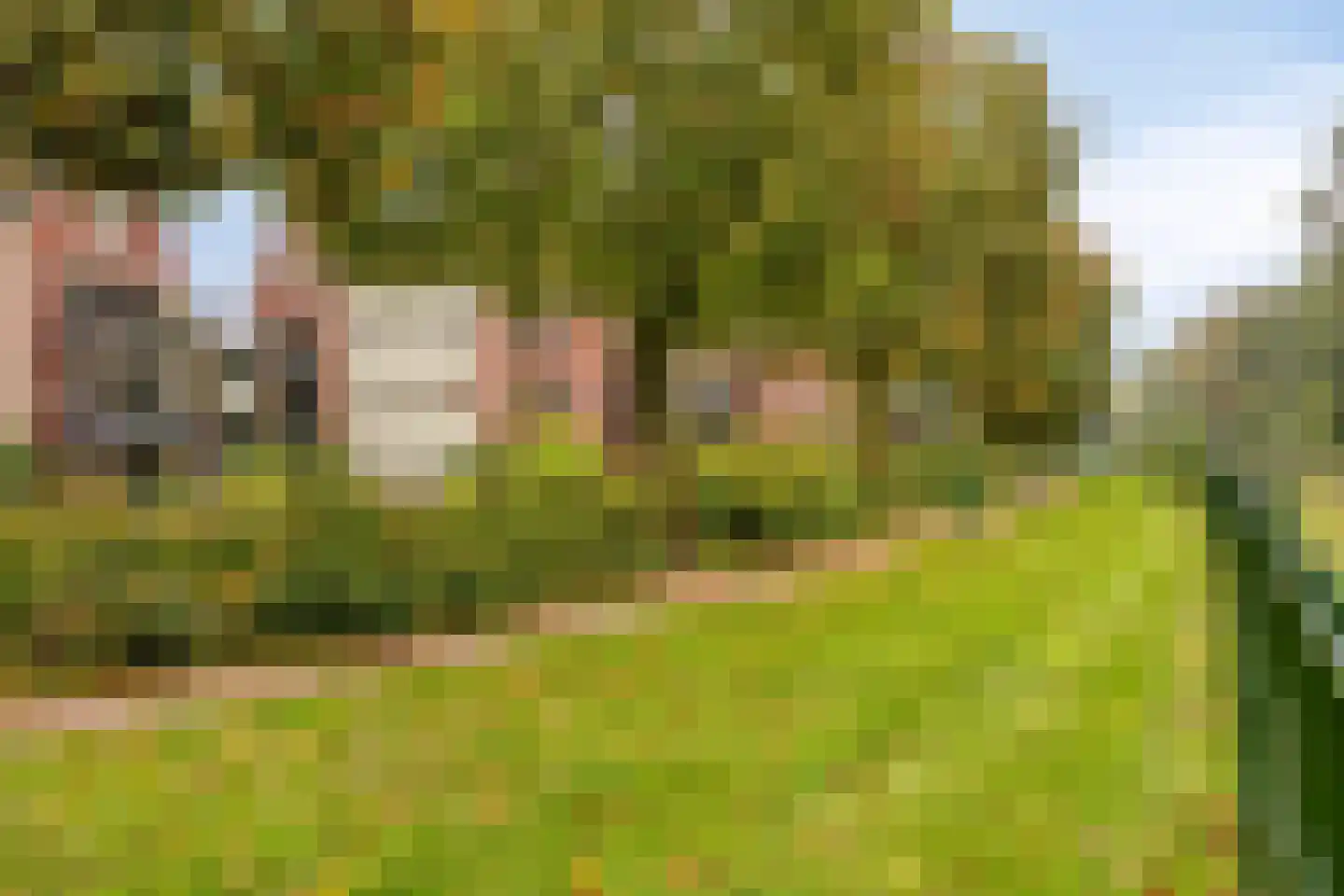 Gaesbeekerhof 19 Soest thumbnail 39