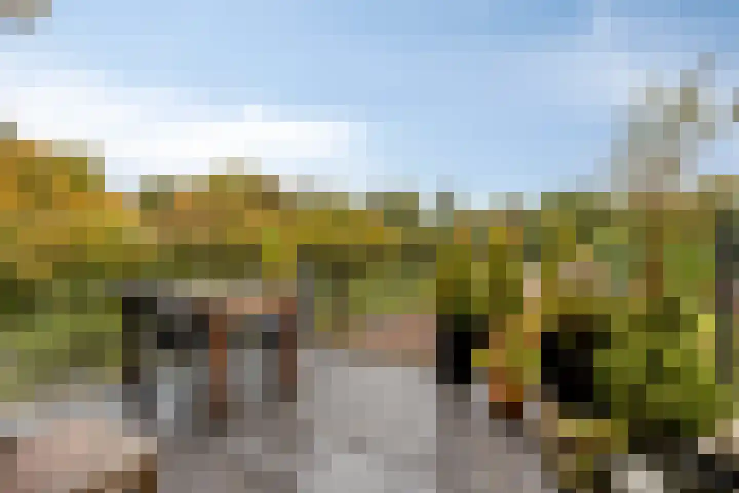 Gaesbeekerhof 19 Soest thumbnail 4
