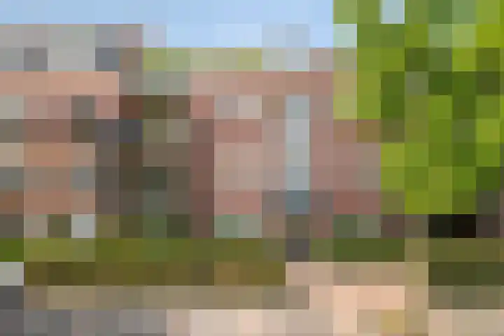 Gaesbeekerhof 31 Soest thumbnail 28