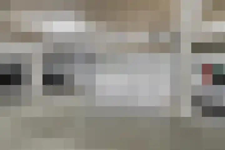 Gaesbeekerhof 31 Soest thumbnail 32