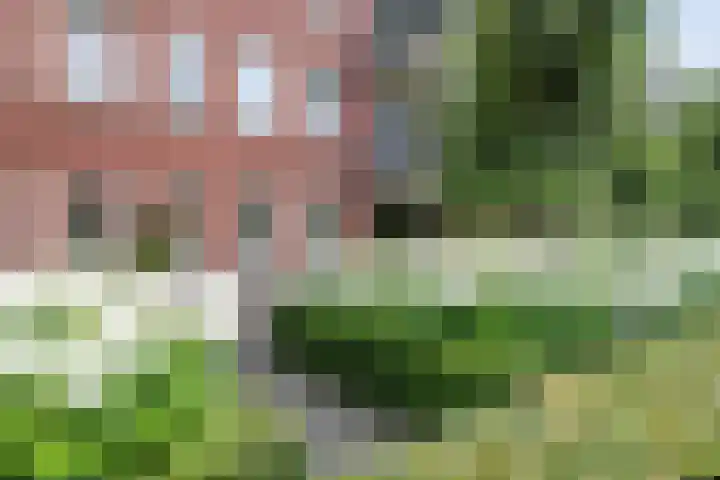 Gaesbeekerhof 31 Soest thumbnail 35