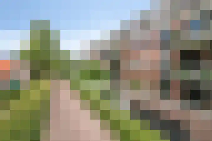 Gaesbeekerhof 31 Soest thumbnail 37