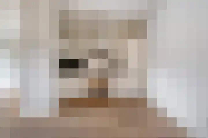 Gaesbeekerhof 31 Soest thumbnail 9