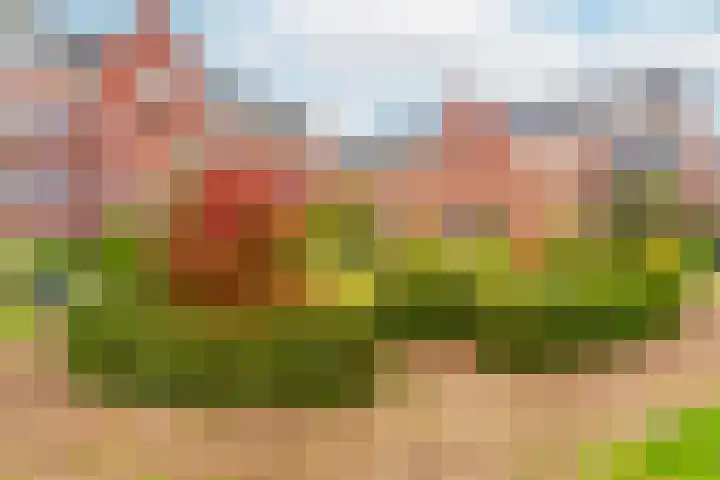 Gaesbeekerhof 58 Soest thumbnail 26