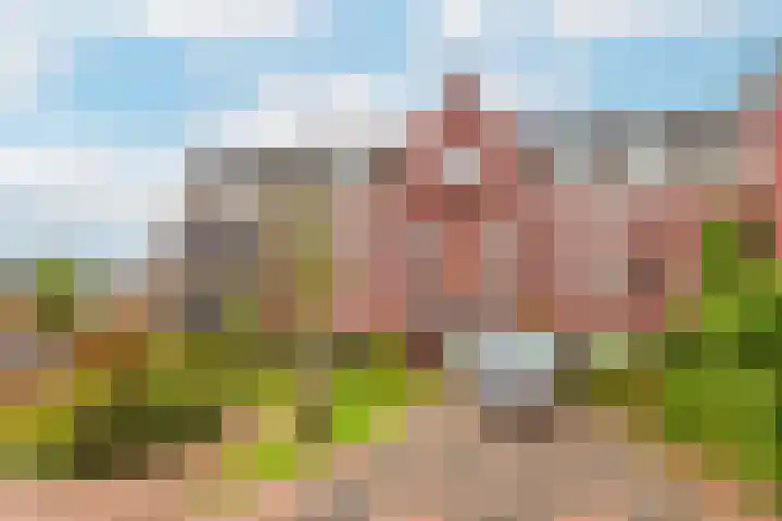 Gaesbeekerhof 58 Soest thumbnail 27