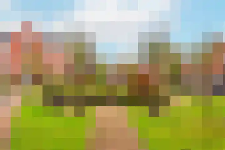 Gaesbeekerhof 58 Soest thumbnail 28