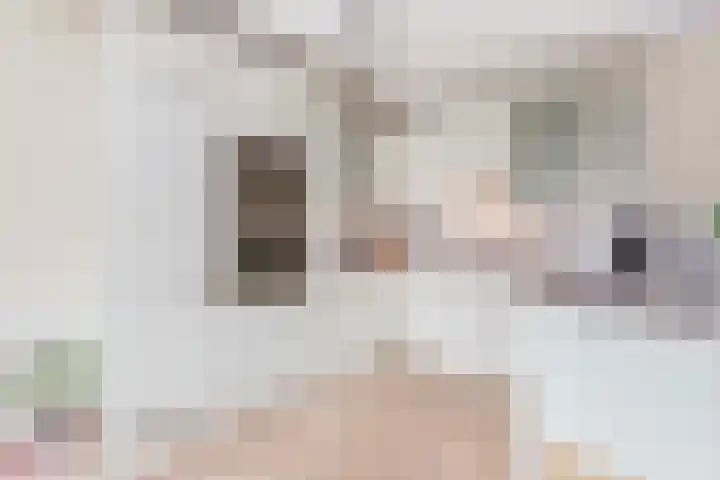 Gaesbeekerhof 58 Soest thumbnail 4