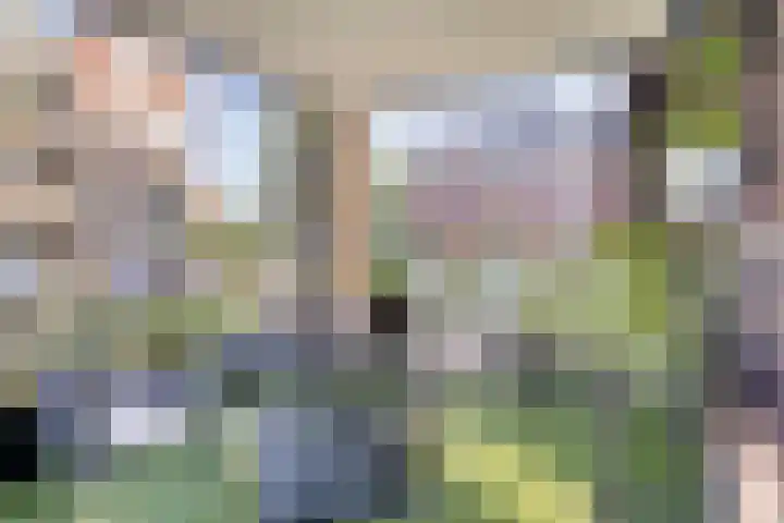 Gaesbeekerhof 6 Soest thumbnail 10