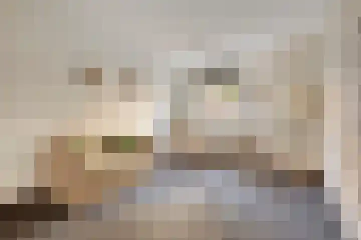 Gaesbeekerhof 6 Soest thumbnail 15
