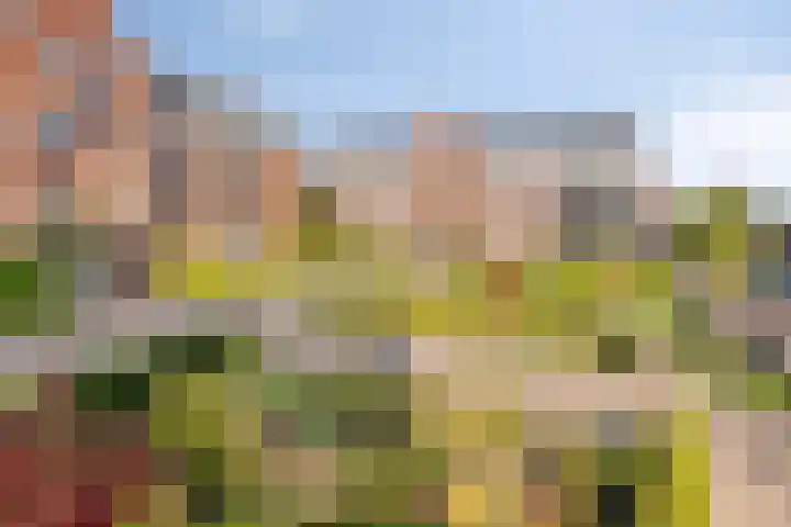 Gaesbeekerhof 6 Soest thumbnail 26