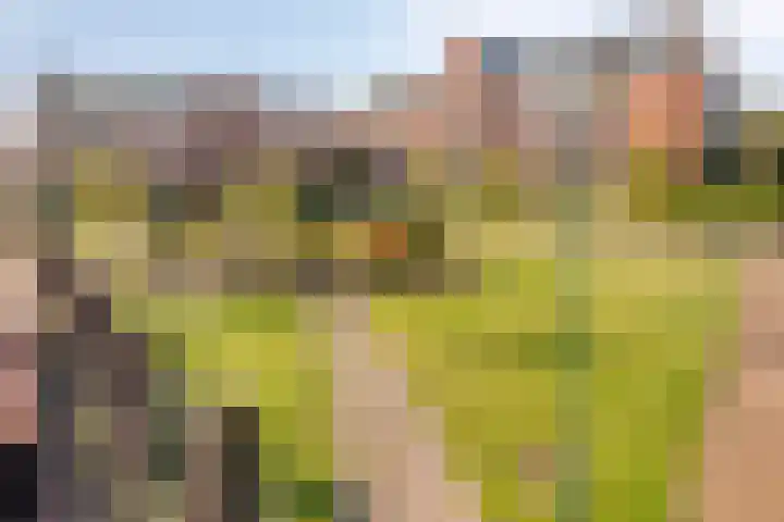 Gaesbeekerhof 6 Soest thumbnail 28