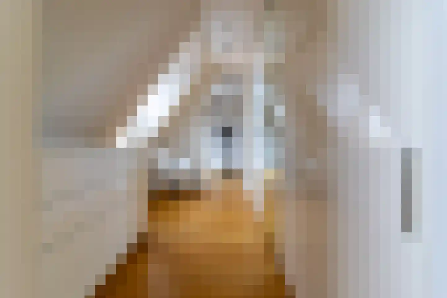 Gaesbeekerhof 84 Soest thumbnail 17