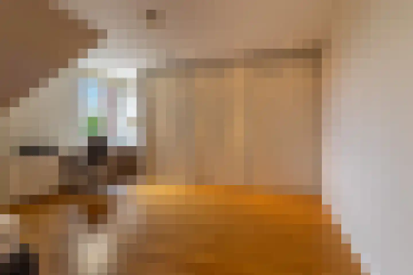 Gaesbeekerhof 84 Soest thumbnail 20