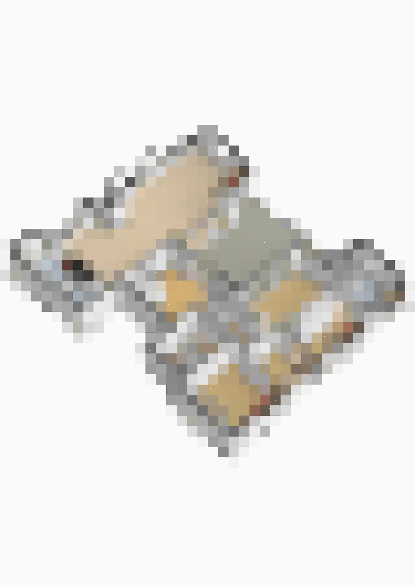 Gaesbeekerhof 84 Soest thumbnail 35