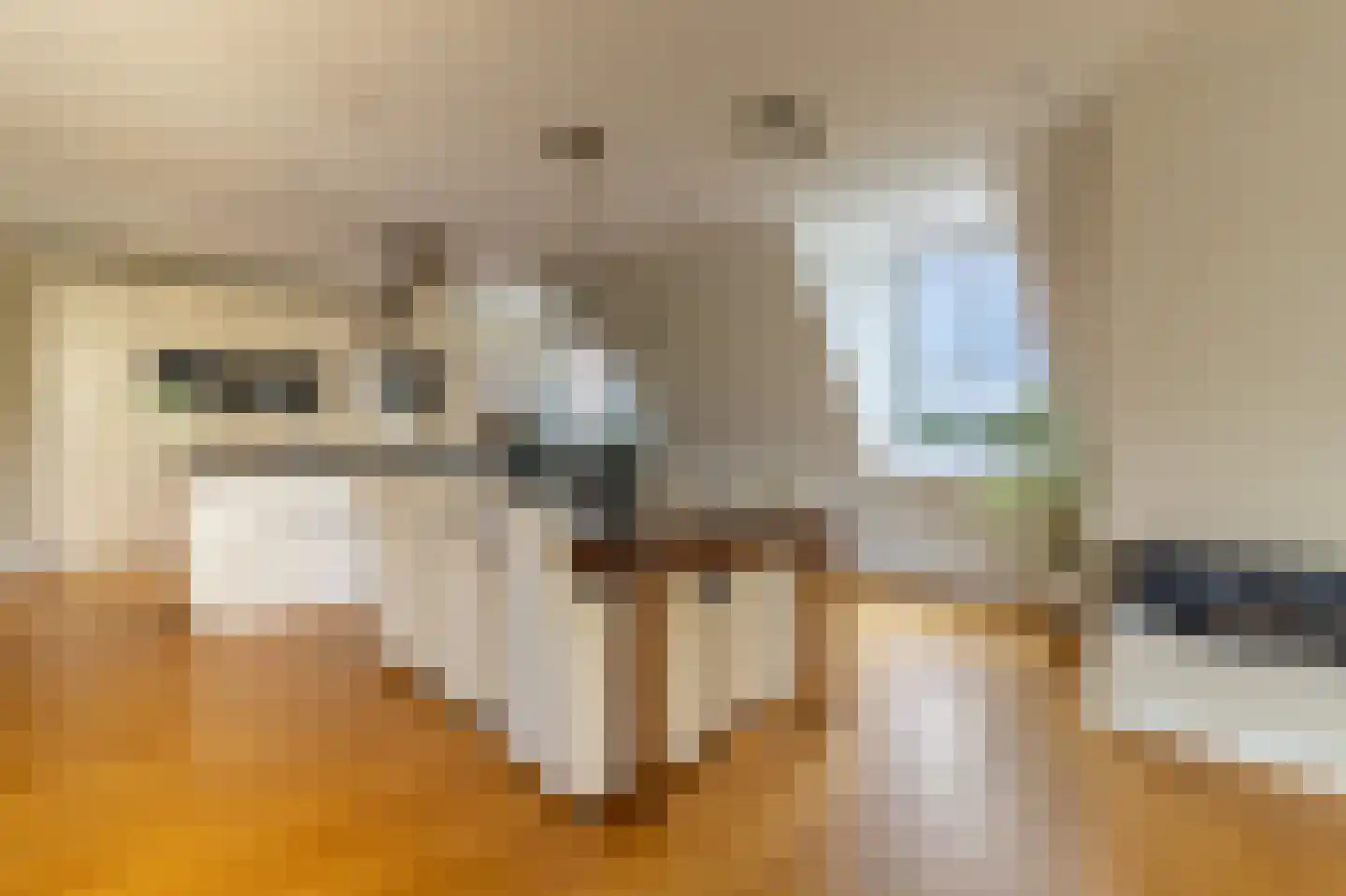 Gaesbeekerhof 84 Soest thumbnail 6