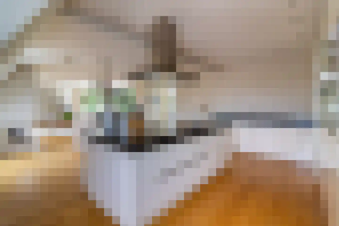 Gaesbeekerhof 84 Soest thumbnail 8