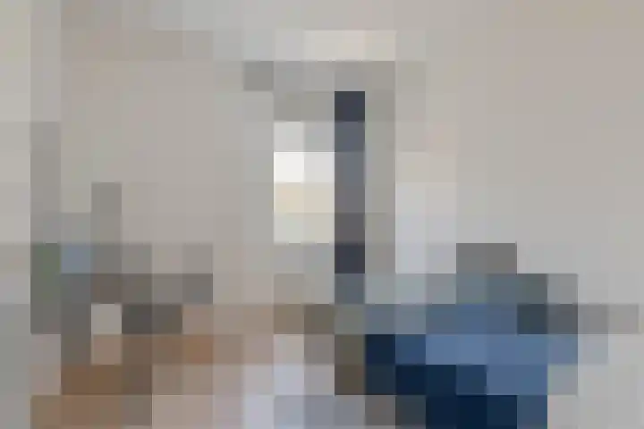 Gaesbeekstraat 51 Rotterdam thumbnail 22