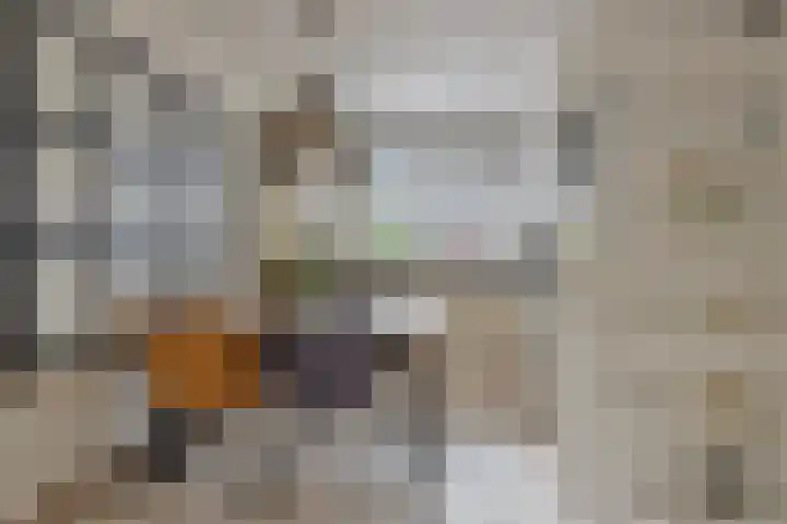 Gaesbeekstraat 67 Rotterdam thumbnail 10