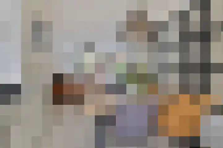Gaesbeekstraat 67 Rotterdam thumbnail 13