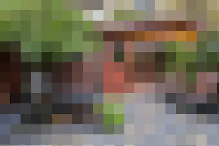 Gaesbeekstraat 67 Rotterdam thumbnail 29