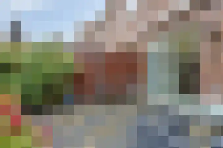 Gaesbeekstraat 67 Rotterdam thumbnail 31