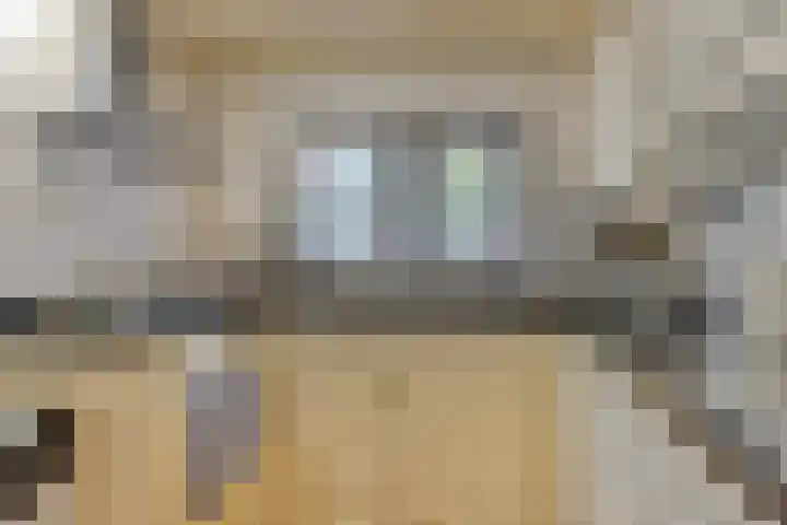Gaesbeekstraat 67 Rotterdam thumbnail 37