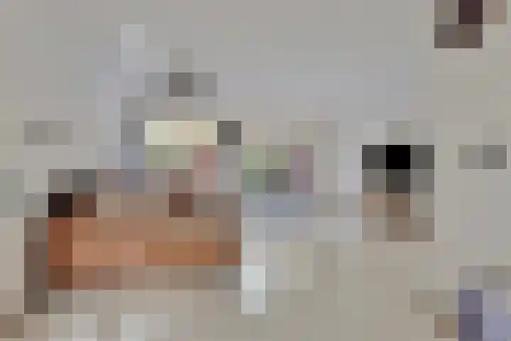Gaesbeekstraat 67 Rotterdam thumbnail 6