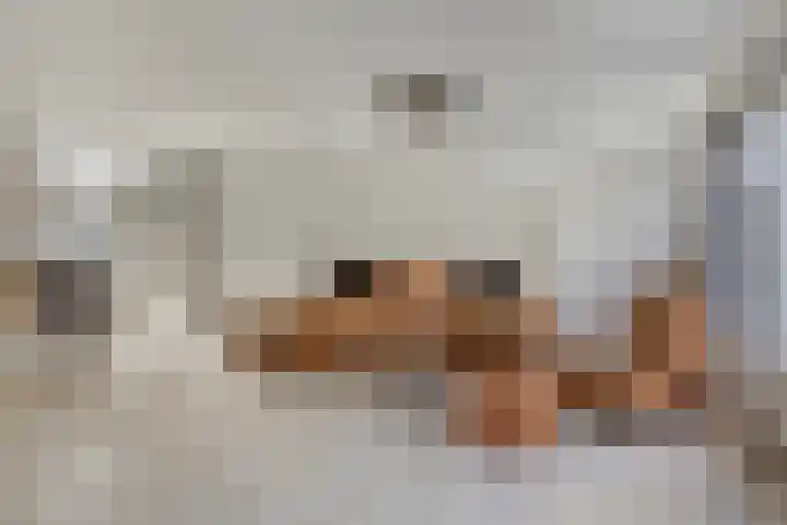 Gaesbeekstraat 67 Rotterdam thumbnail 8