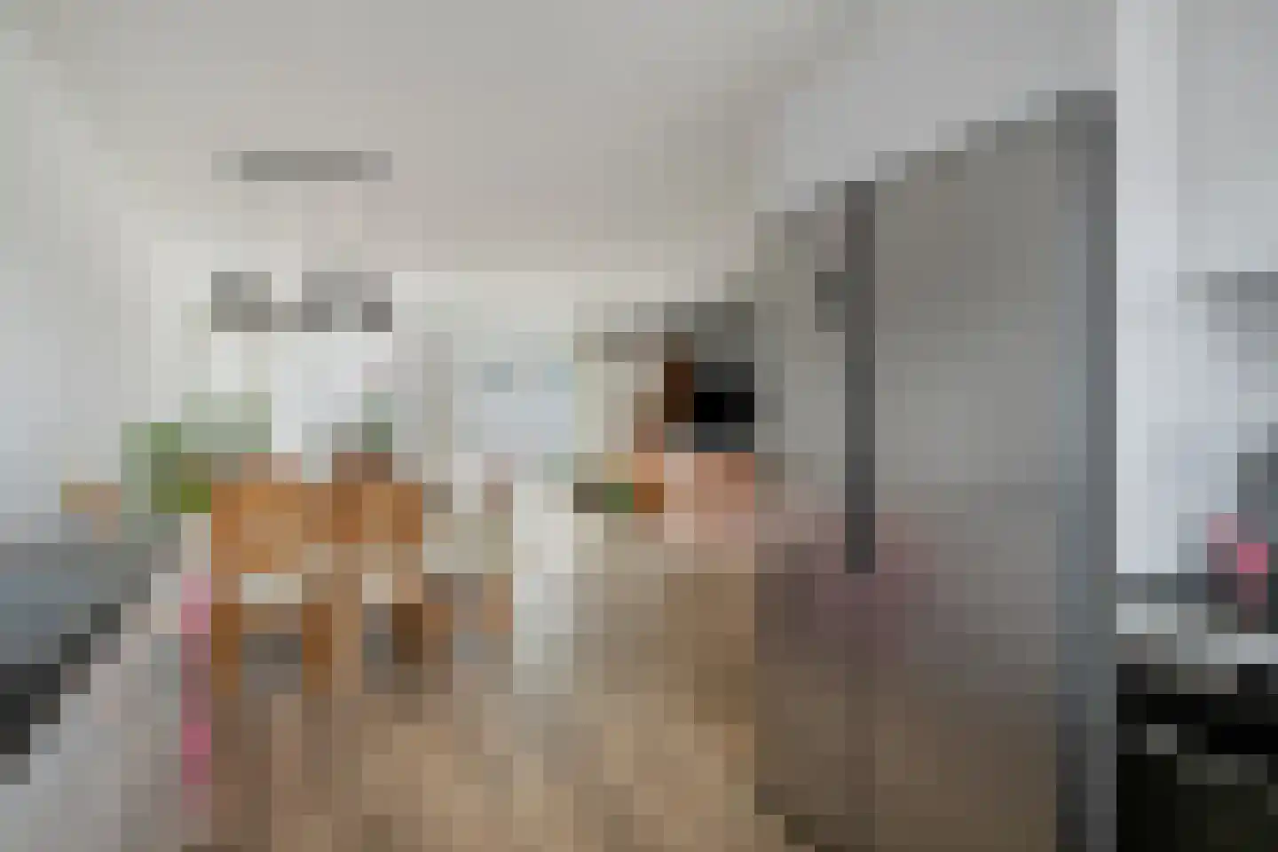 Gaesbeekstraat 77 Rotterdam thumbnail 11